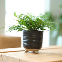 TS Flower pot Saar round black - Indoor pot