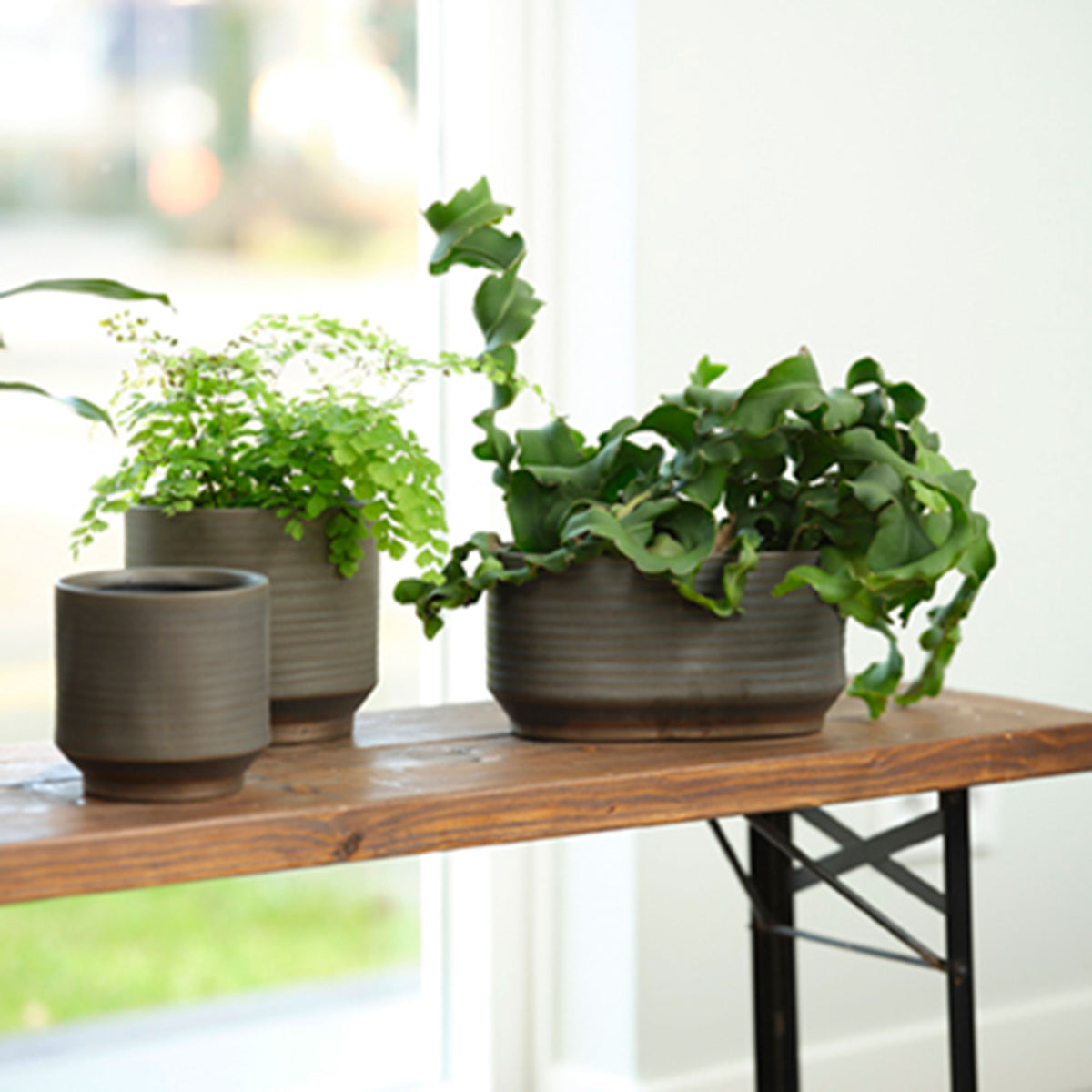 TS Flower pot Suze round brown - Indoor pot
