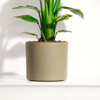 Mica flower pot Era round green relief- Indoor pot