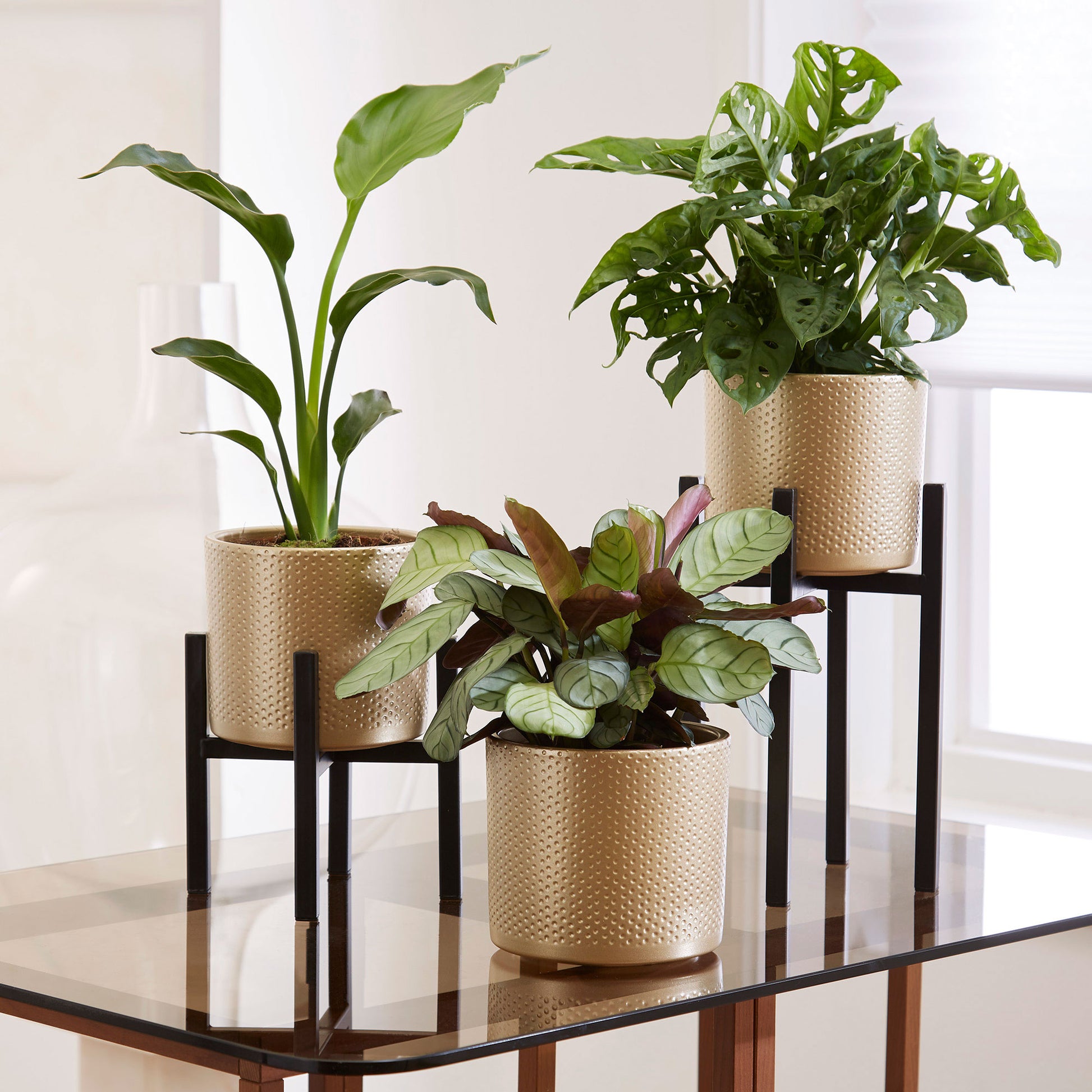 house plant stands uk Mica Decorations Plant stand Scott black