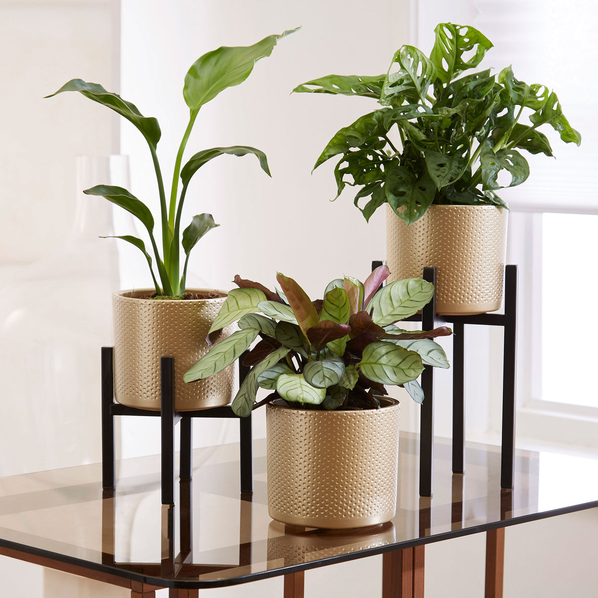 Mica Decorations Plant stand Scott black