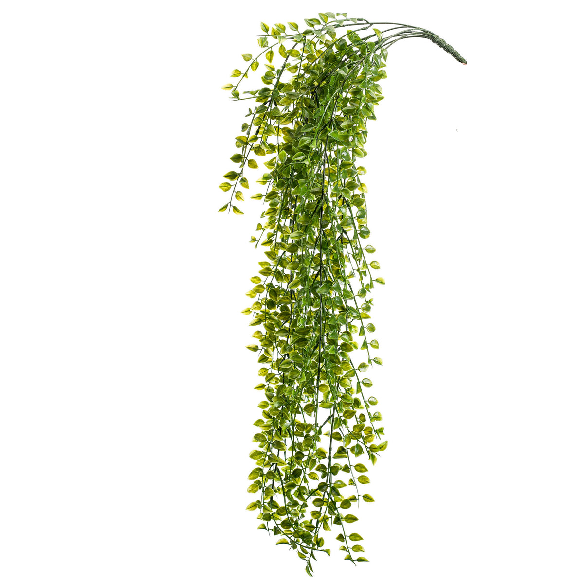 Artificial plant Climbing fig Ficus pumila