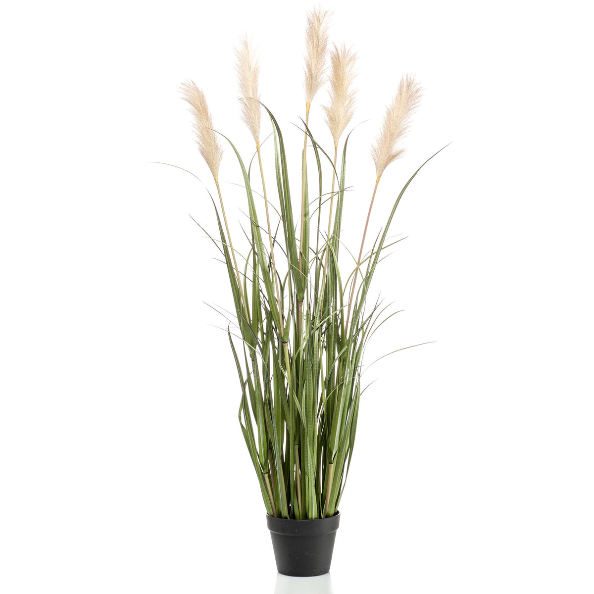 Artificial plant Pampas grass