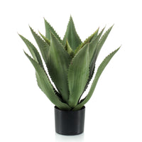 Artificial plant Succulent Agave
