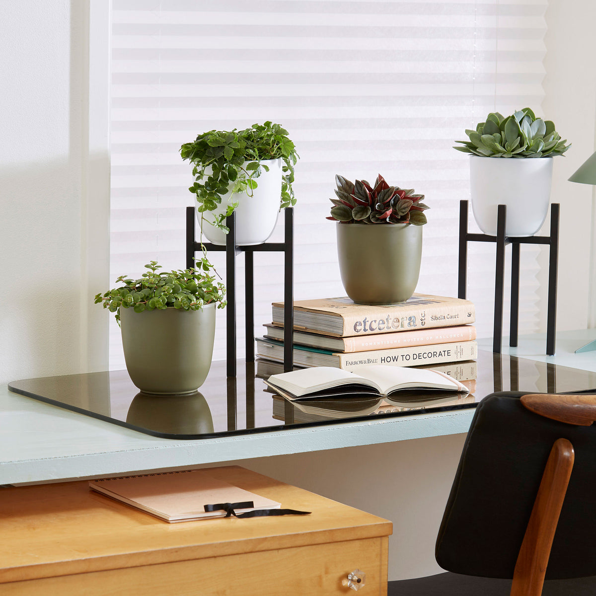 4x Green house plants - Mix 'Eden Collection' including decorative pots and plant stands
