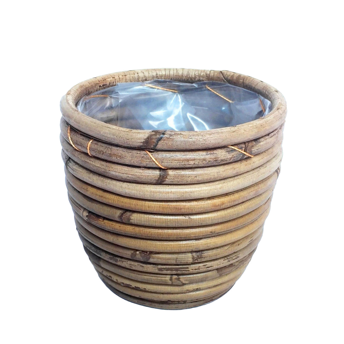 4x Air-purifying indoor plants - Mix including decorative pots