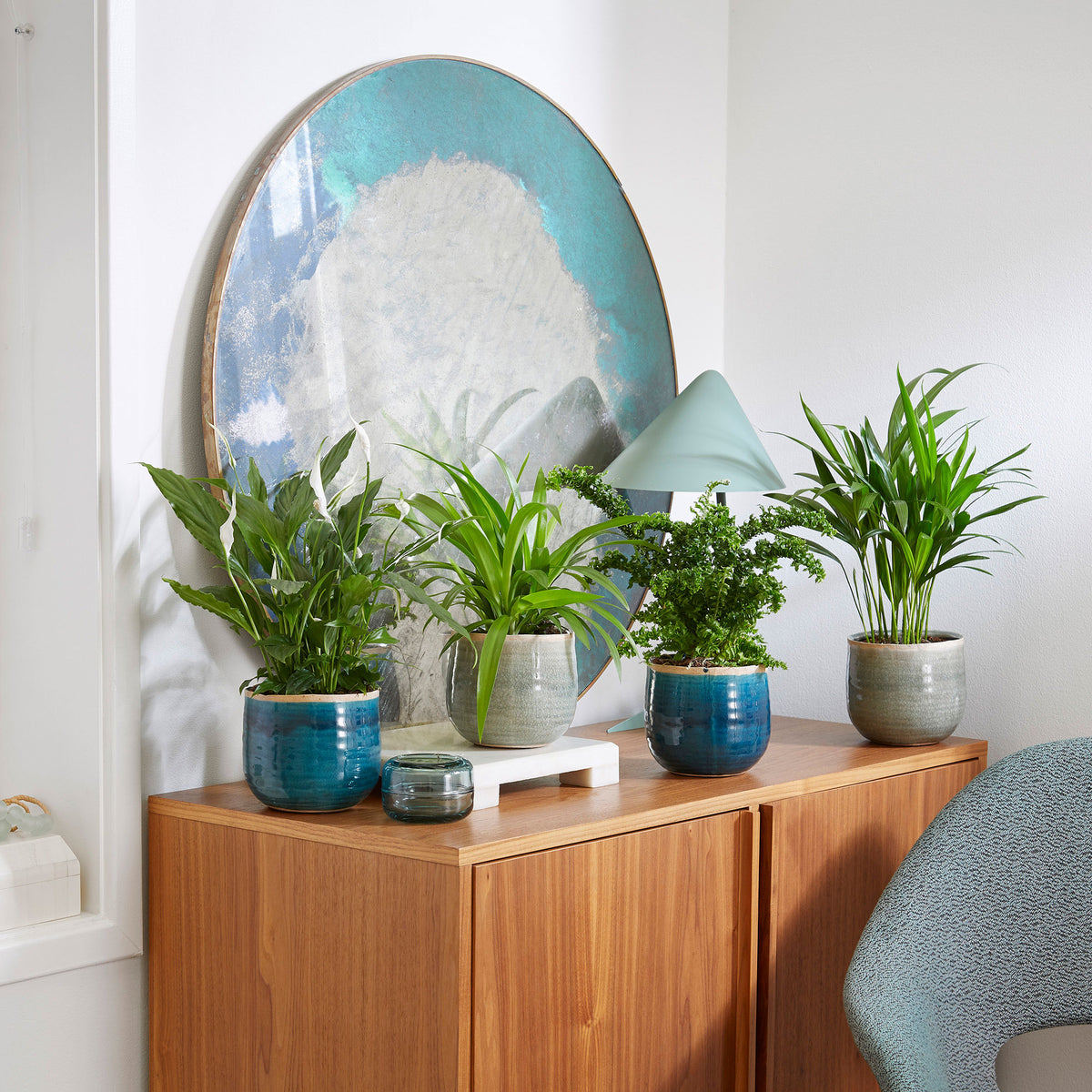 4x Air-purifying indoor plants - Mix including green and blue decorative pots
