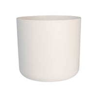 2x Amaryllis Hippeastrum white including decorative pots
