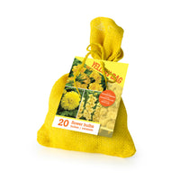 20x Flower bulbs - Mix 'The Yellow Bag' Yellow