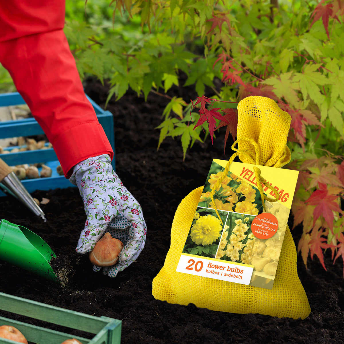 20x Flower bulbs - Mix 'The Yellow Bag' Yellow