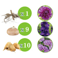 20x Flower bulbs - Mix 'The Purple Bag' Purple