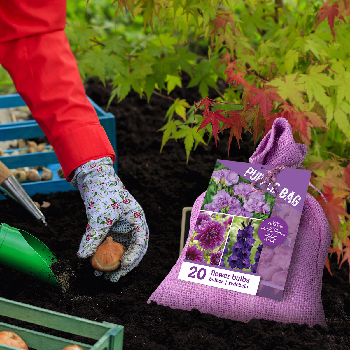 20x Flower bulbs - Mix 'The Purple Bag' Purple