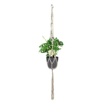 Swiss cheese plant Monstera 'Monkey Leaf' including flower pot hanger and decorative pot