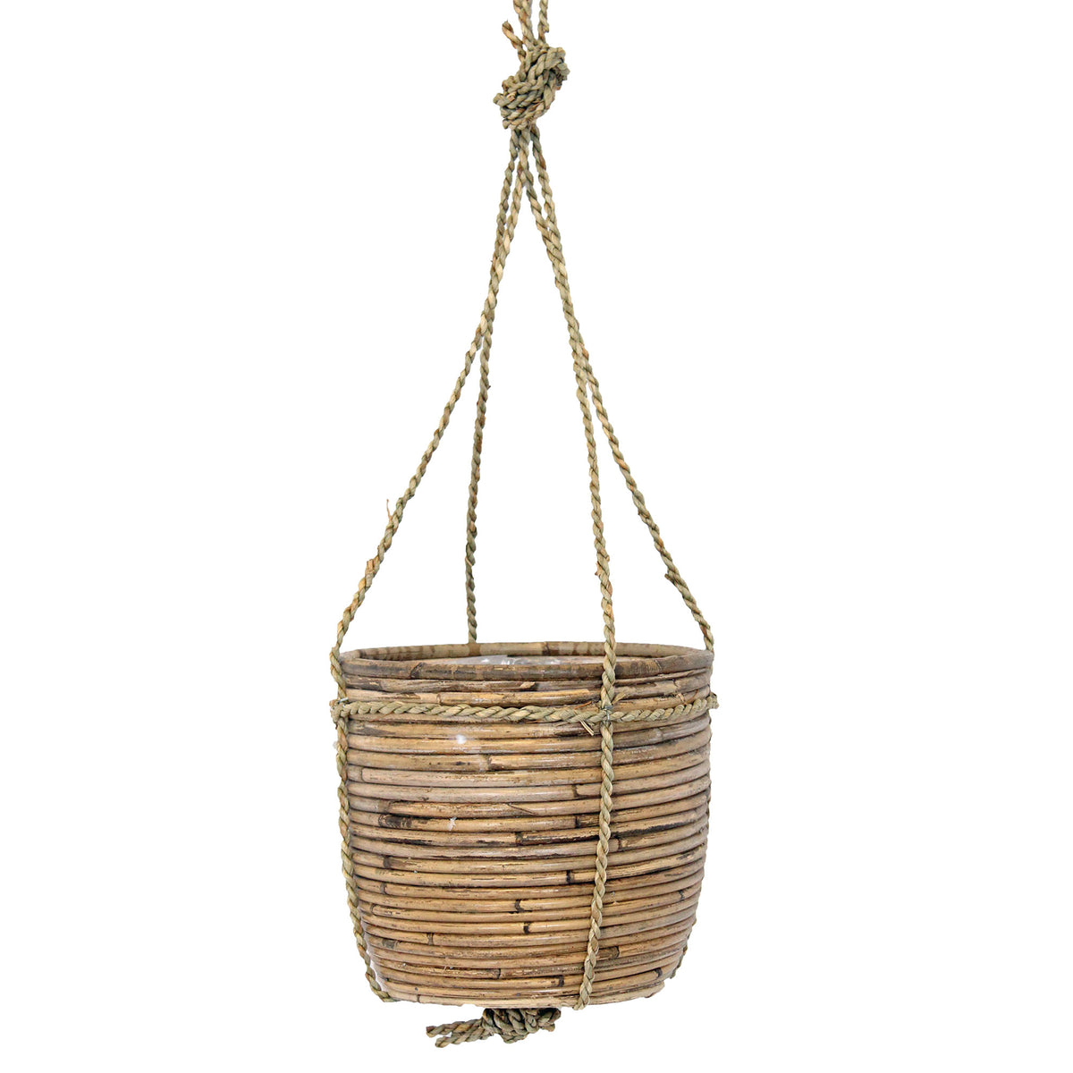 String of dolphins Senecio peregrinus green including hanging pot rattan  - Hanging plant