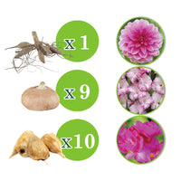 20x Flower bulbs - Mix 'The Pink Bag' pink