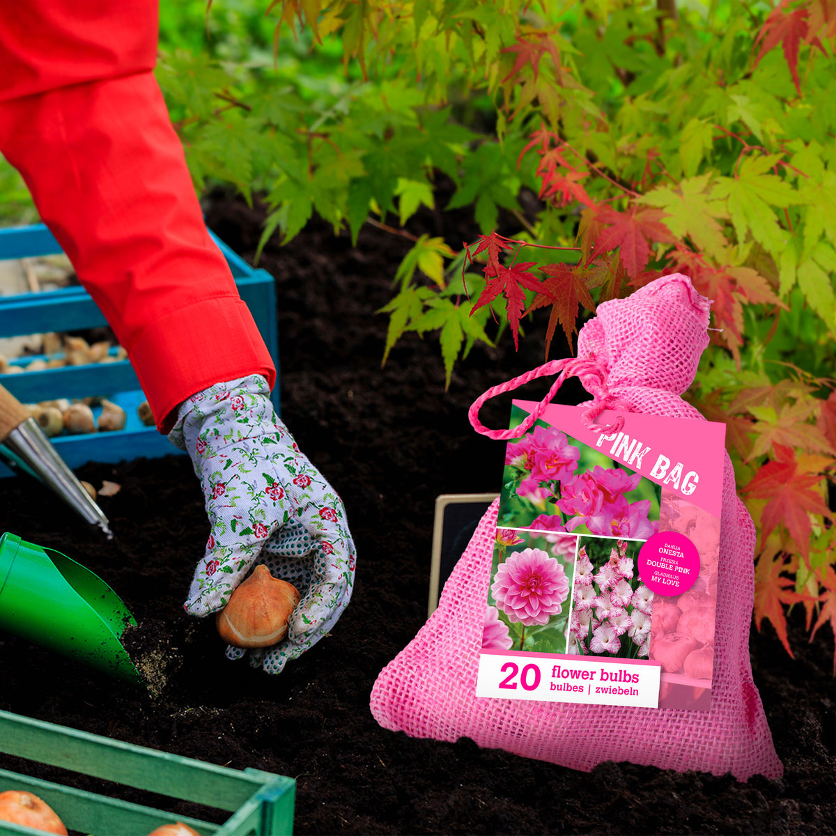 20x Flower bulbs - Mix 'The Pink Bag' pink