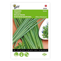 Chives Allium schoenoprasum 3 m² - Herb seeds