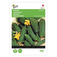 Cucumber Cucumis 'National' 10 m² - Vegetable seeds