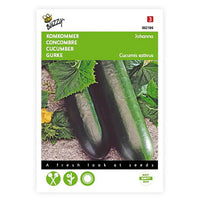 Cucumber Cucumis 'Johanna' 10 m² - Vegetable seeds