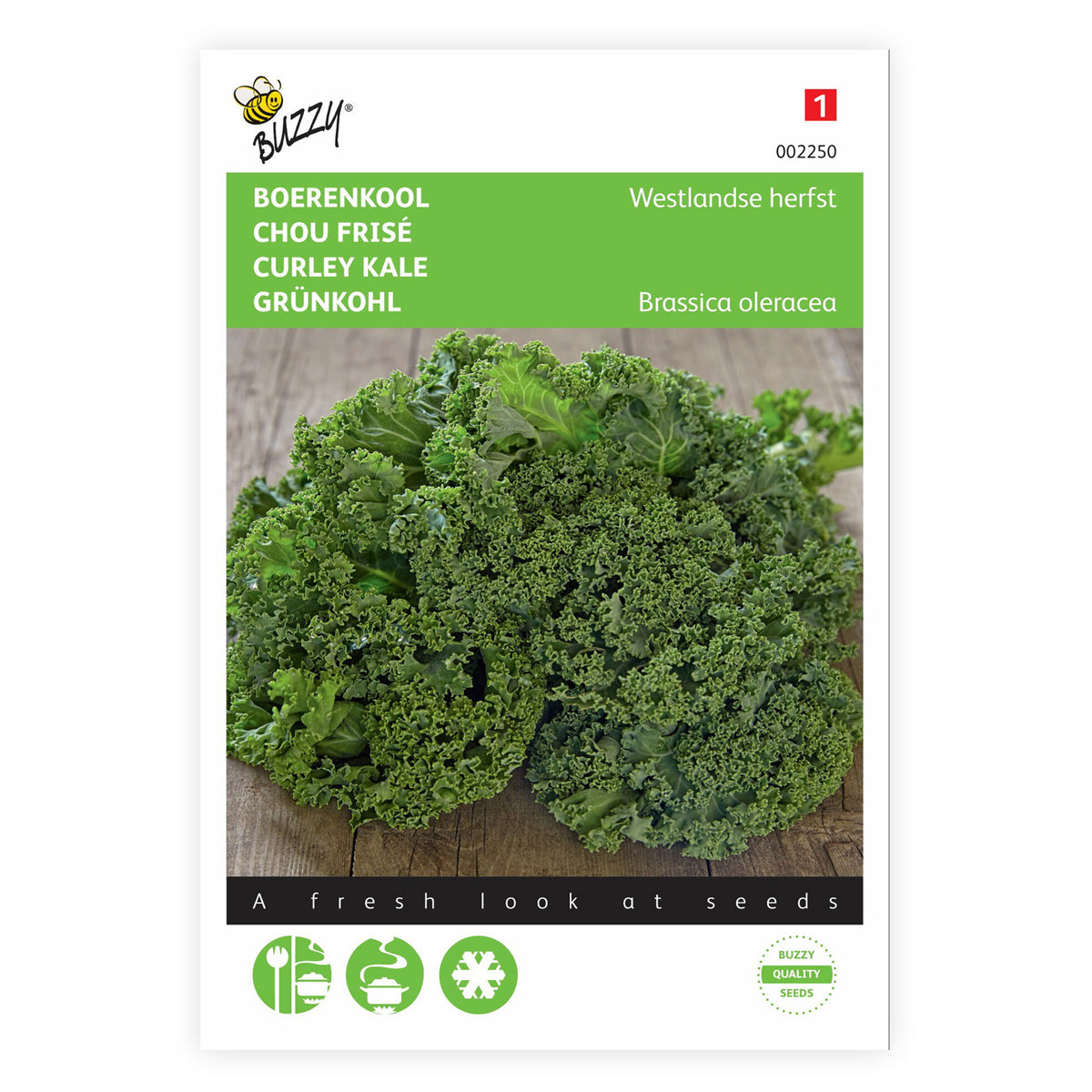 Kale Brassica 'Westlandse Herfst' 40 m² - Vegetable seeds