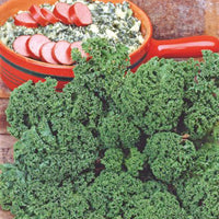 Kale Brassica 'Westlandse Herfst' 40 m² - Vegetable seeds