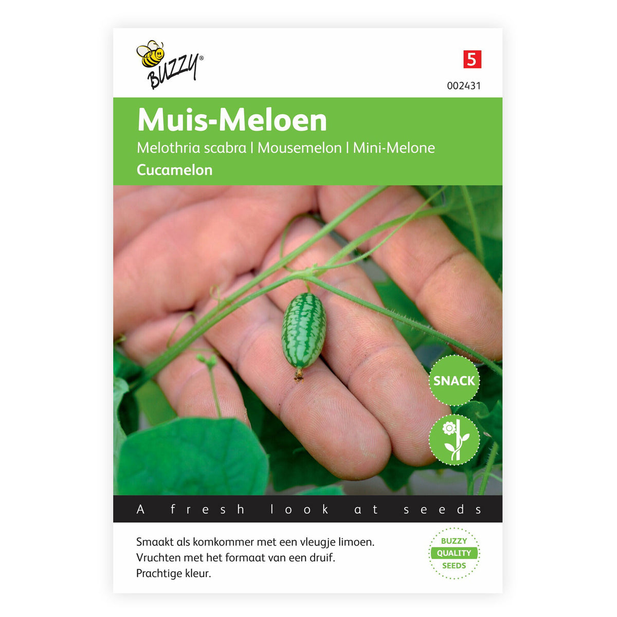 Cucamelon Melothria 'Cucamelon' 3 m² - Fruit seeds