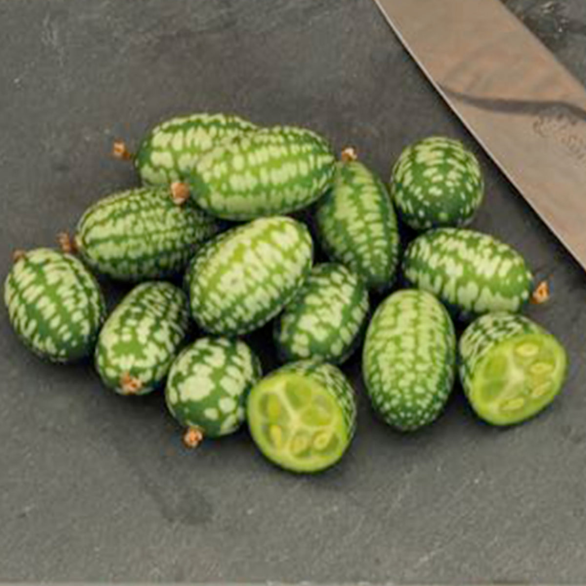 Cucamelon Melothria 'Cucamelon' 3 m² - Fruit seeds