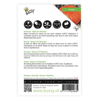 Squash Cucurbita 'Rode van d'Etampes' red 6 m² - Vegetable seeds