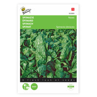 Spinach Spinacia 'Nores' 15 m² - Vegetable seeds