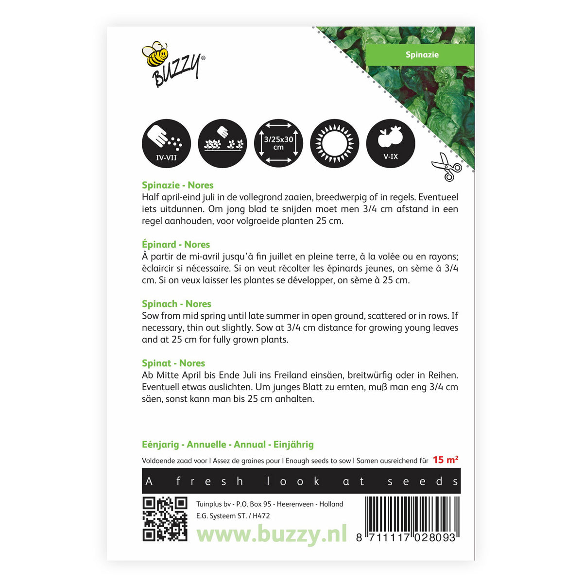 Spinach Spinacia 'Nores' 15 m² - Vegetable seeds