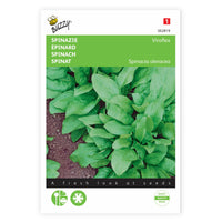 Spinach Spinacia 'Winterreuzen' 2 m² - Vegetable seeds