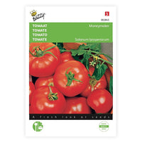 Tomato Solanum 'Moneymaker' 10 m² - Vegetable seeds