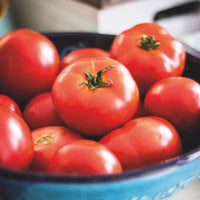 Tomato Solanum 'Moneymaker' 10 m² - Vegetable seeds