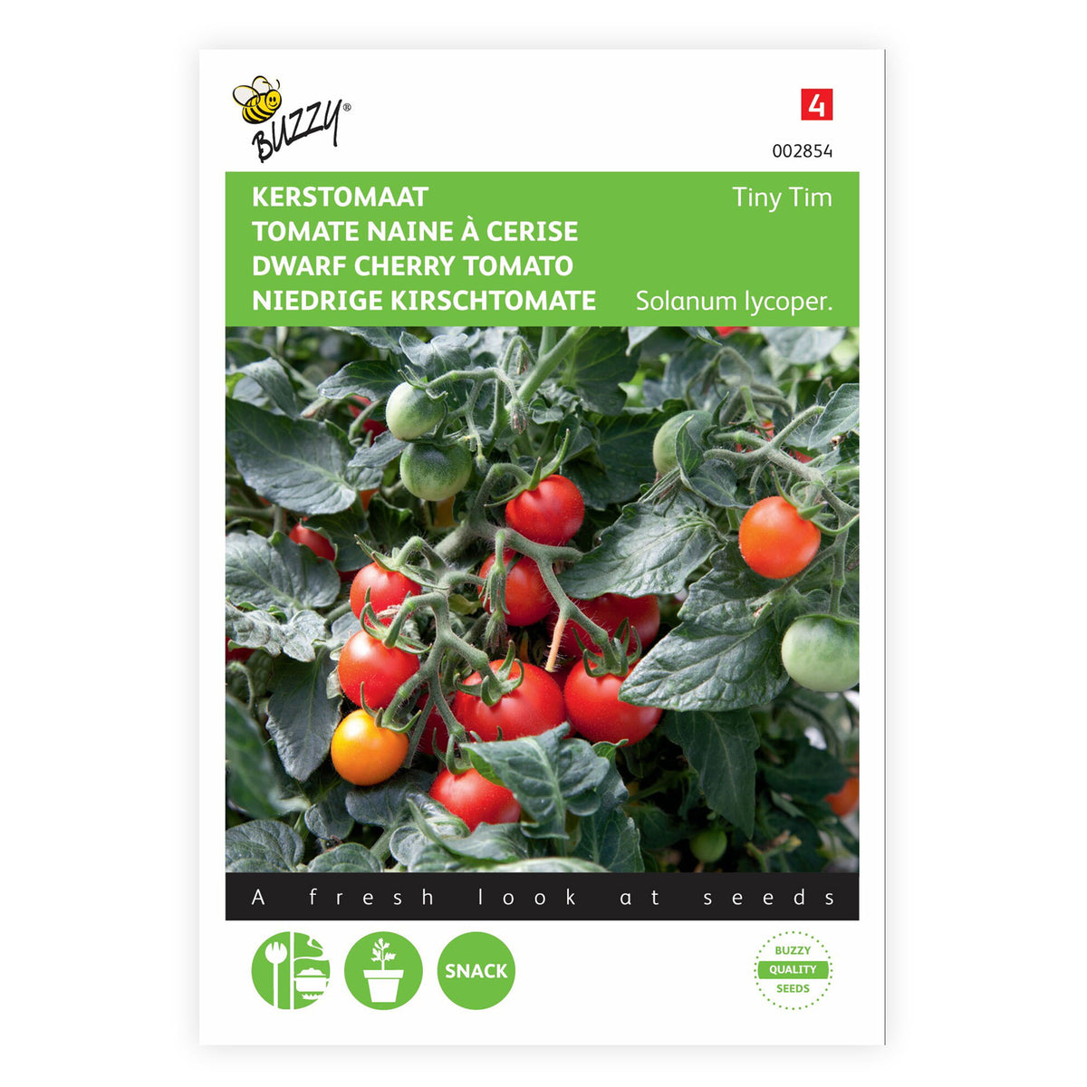 Cherry tomato Solanum 'Tiny Tim' 10 m² - Vegetable seeds