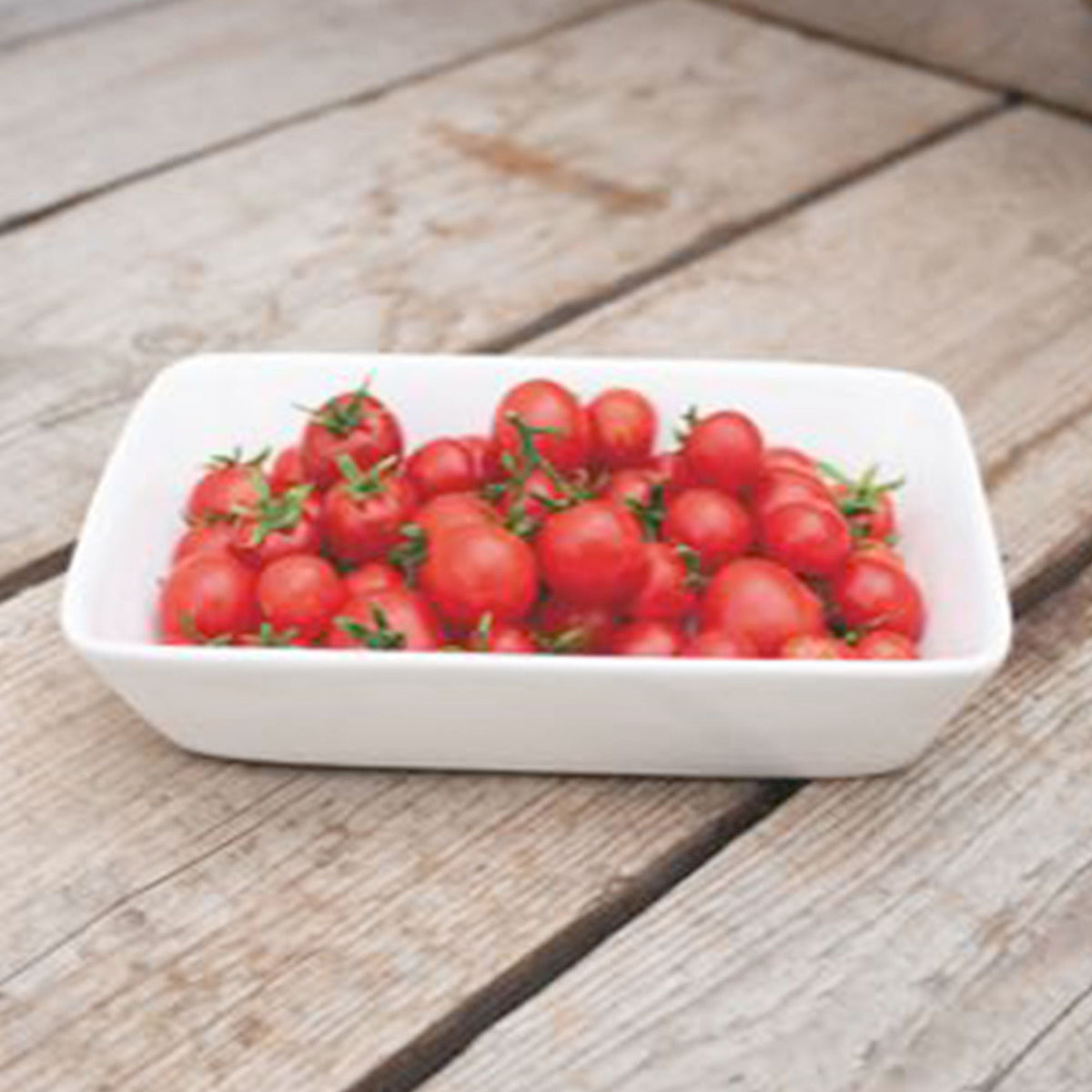 Cherry tomato Solanum 'Tiny Tim' 10 m² - Vegetable seeds