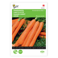 Carrot Daucus 'Amsterdamse bak' 15 m² - Vegetable seeds