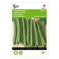 String bean Phaseolus 'Prelude' 2,5 m² - Vegetable seeds