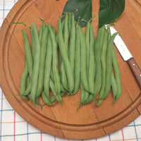 String bean Phaseolus 'Prelude' 2,5 m² - Vegetable seeds