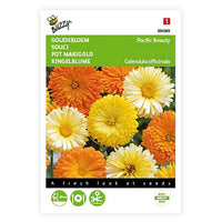 Marigold Calendula 'Pacific Beauty' - Mix yellow-orange-white 2,5 m² - Flower seeds