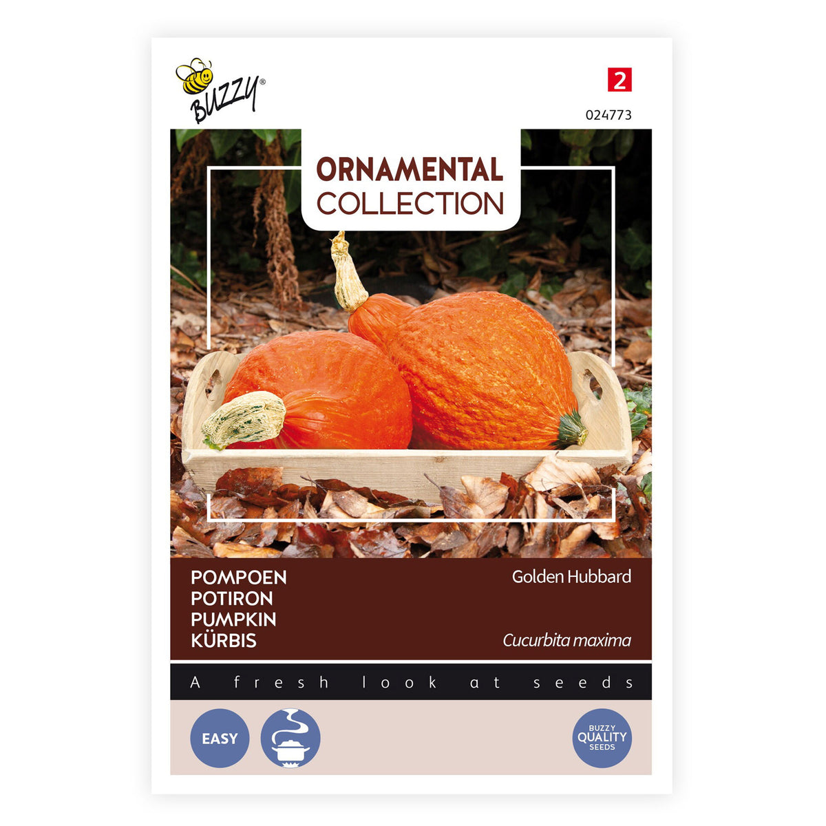 Squash Cucurbita 'Golden Hubbard' orange 6 m² - Vegetable seeds