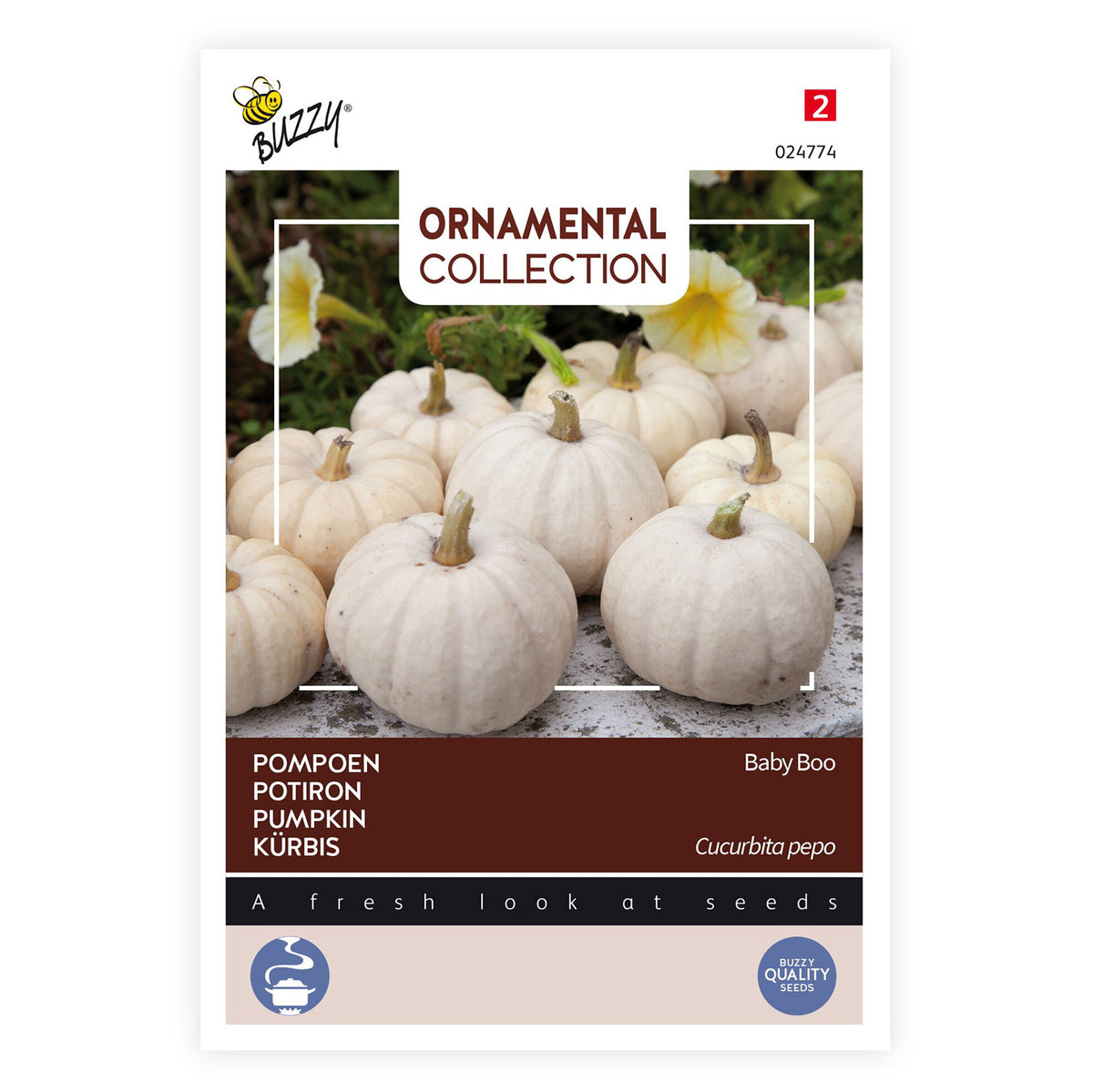 Squash Cucurbita 'Baby Boo' white 3 m² - Vegetable seeds