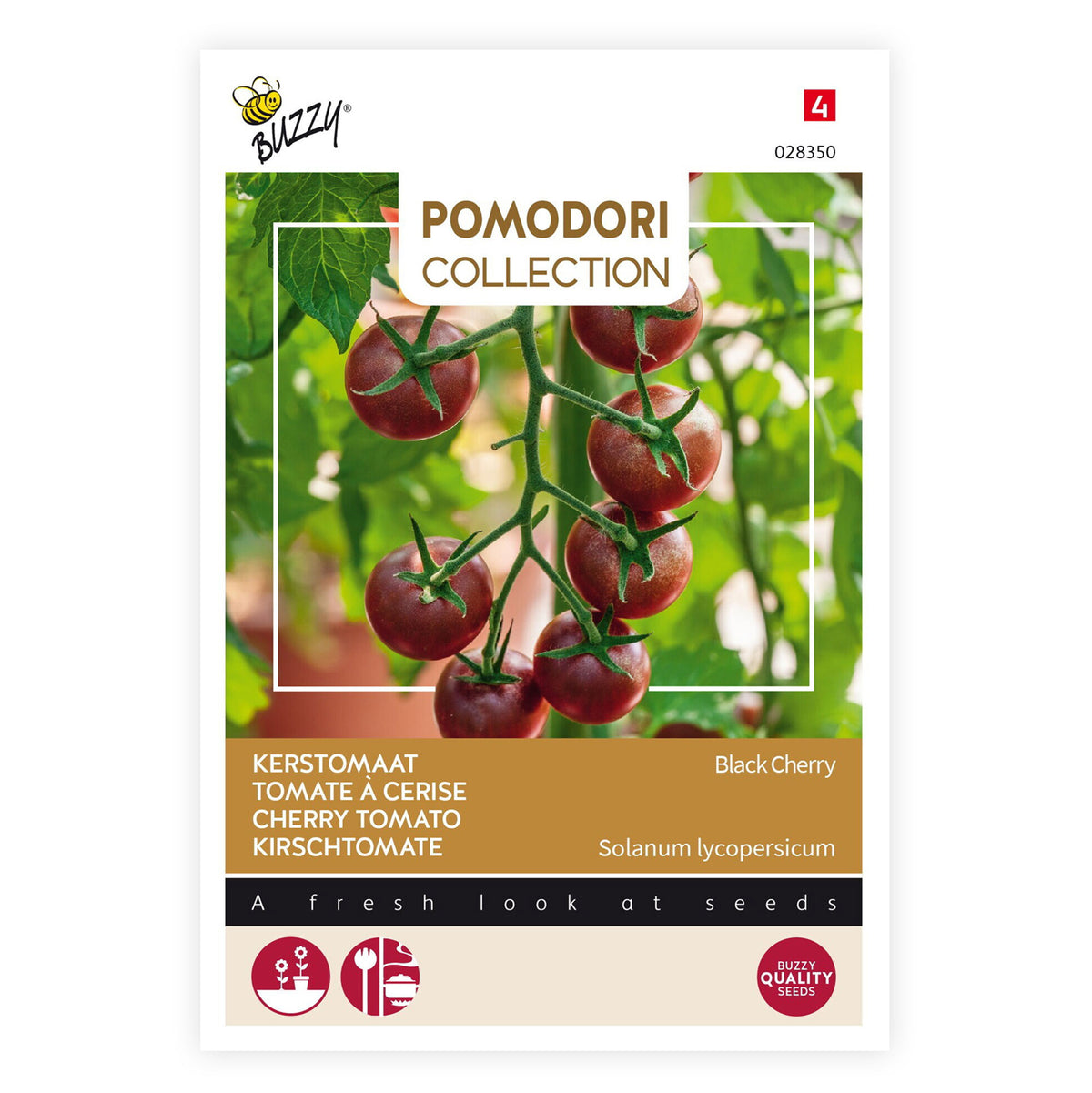 Cherry tomato Solanum 'Black Cherry' black 3 m² - Vegetable seeds