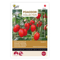 Tomato Solanum 'Ravello F1' 2 m² - Vegetable seeds