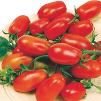 Tomato Solanum 'Ravello F1' 2 m² - Vegetable seeds