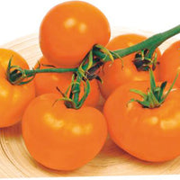 Tomato Solanum 'Arancia' yellow 2 m² - Vegetable seeds