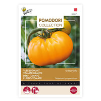 Beef tomato Solanum 'Grappa Gialla' yellow 2 m² - Vegetable seeds