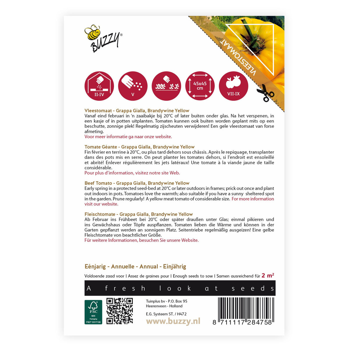 Beef tomato Solanum 'Grappa Gialla' yellow 2 m² - Vegetable seeds
