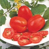 Tomato Solanum 'Super Roma' red 2 m² - Vegetable seeds