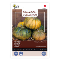 Muscat pumpkin Cucurbita 'Musquee de Provence' 3 m² - Vegetable seeds