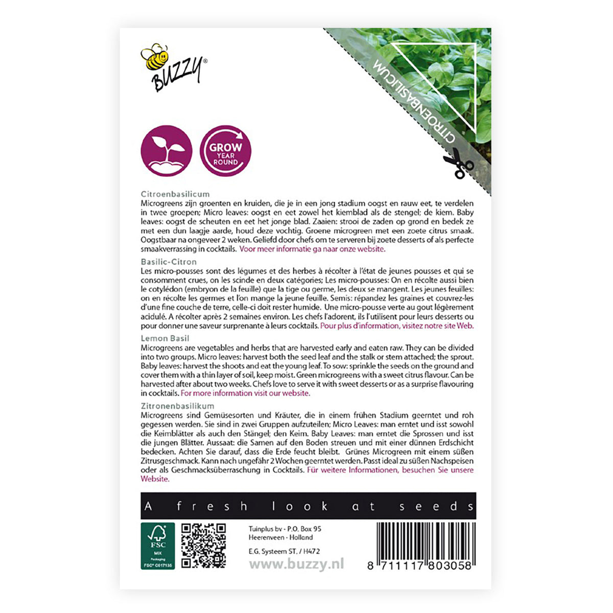 Lemon basil Ocimum basilicum - Herb seeds